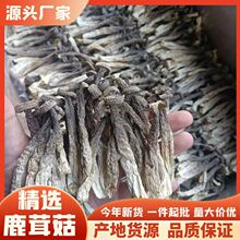 ¹�׹���؛�S��ֱ�N10��һ��ʳ�þ������ɢ�b�ؼ�¹�׹��a��ֱ�l