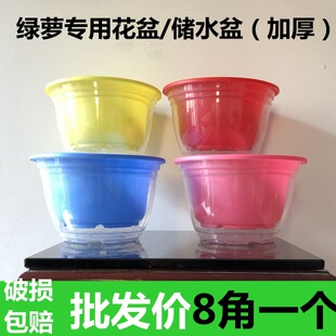 Green Rose Plastic Lazy Man Automatic Absorbent Flower Pot Hydroponic Household Internet Popular Large Flower Pot No Watering Special Wholesale Clearance