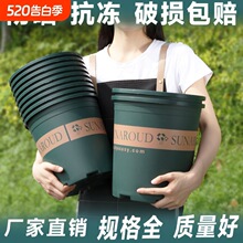�������ϻ����������̨���ش�żӺ���֬�ؼ������ֲ�ظ�����