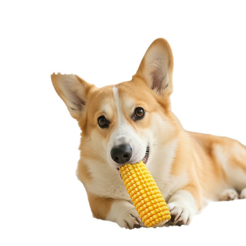 Juguetes para perros para aliviar el aburrimiento, dientes molares resistentes a la mordida, sonido, perros de pelo dorado, mascotas, perros grandes, artículos para cachorros image 6