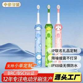 电动牙刷;冲牙器;个护电器配件