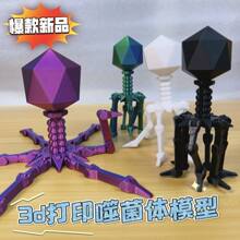 3D��ӡģ�ͿƌWС������ȤζT4��ӿ��ɾ��w���Ǆ���Y��΢����