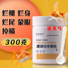 日本黄粉烂身烂尾鱼池鱼缸观赏鱼金鱼锦鲤水霉病蒙眼非鱼药