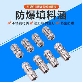DN20不锈钢防爆铠装电缆格兰头双密封填料函夹紧接头4分6分铜镀镍