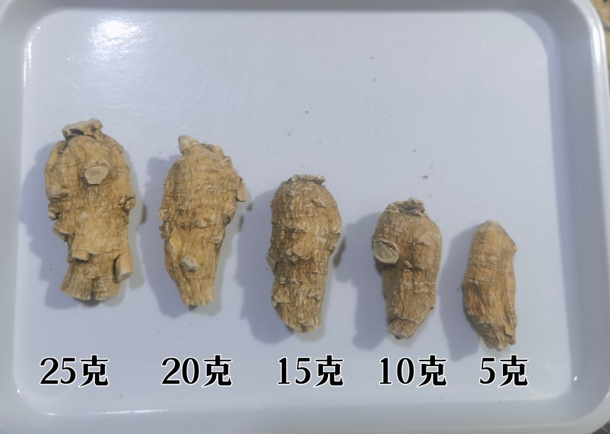American Ginseng Root Xi Yang Shen Panax quinquefolius Whole Roots 500g Canadian Grown preparation