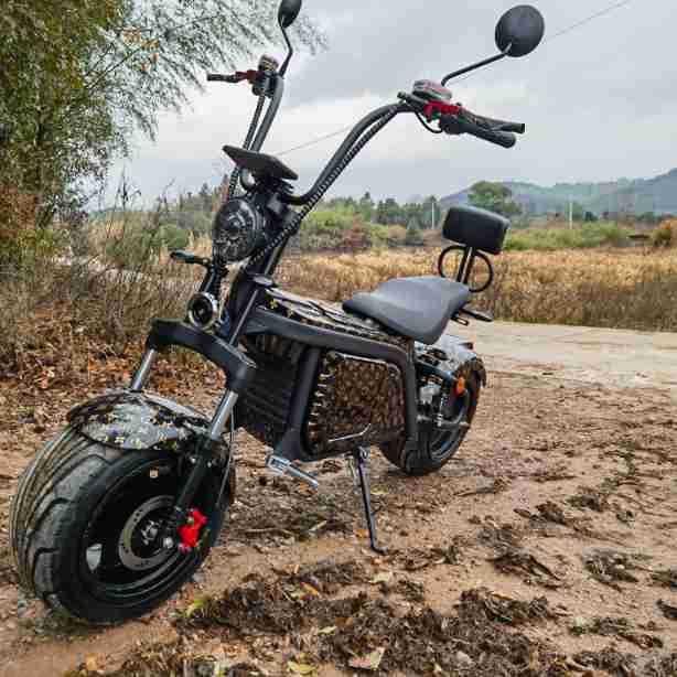 Harley Electric Vehicle Two-wheel Skateboard Family Non-foldable Bicycle Adult Transportation Large Tire Wide Tire Battery Car