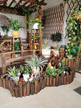 ����ľ�řڑ��⻨�@����ͥԺ�҃Ȼh���̨�b�̼��Сľ�������o��