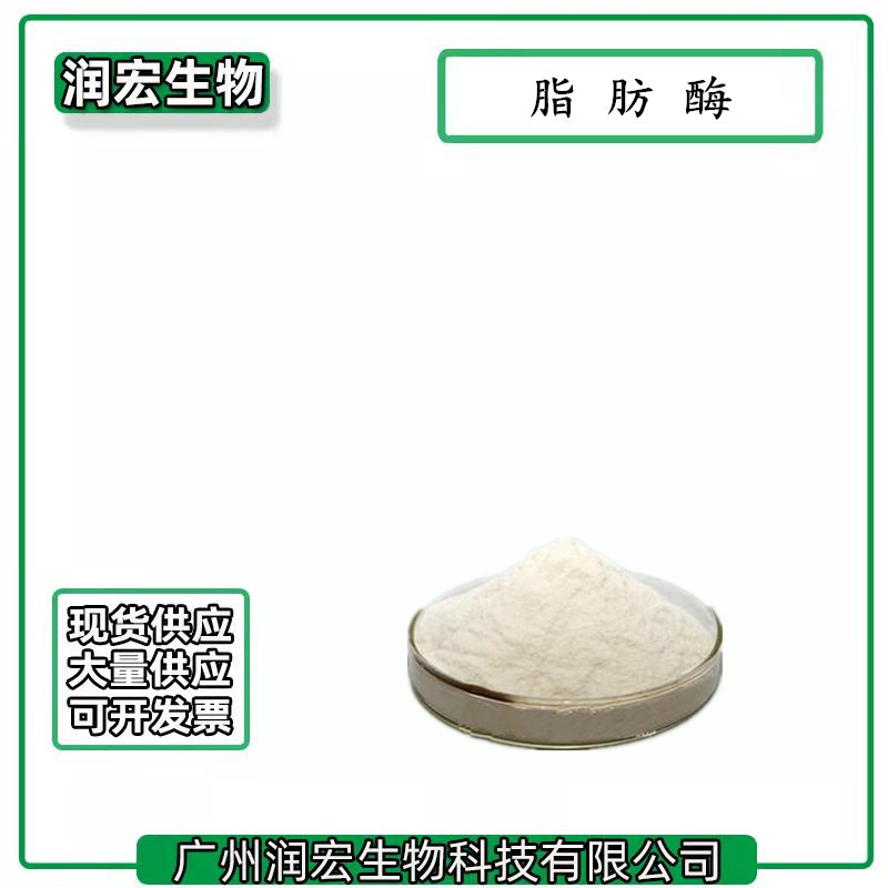 脂肪酶 食品级 酶制剂 脂肪分解酶 欢迎订购