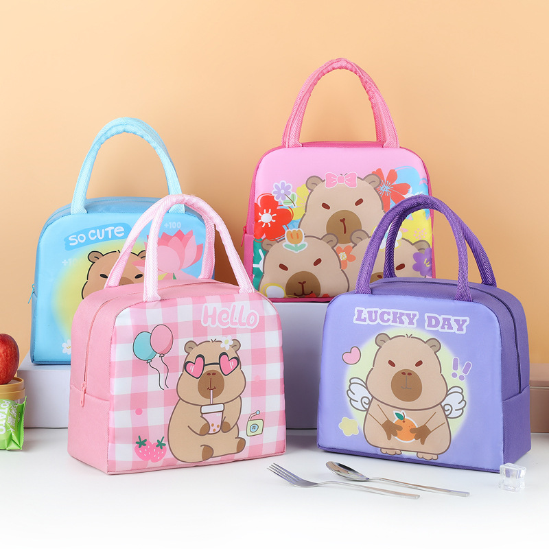 Bolsa de almuerzo infantil de dibujos animados bolsa de almuerzo portátil bolsa de almuerzo aislante de calor bolsa de almuerzo lindo bolsa de almuerzo al trabajo y la escuela estudiantes con bolsa de almuerzo