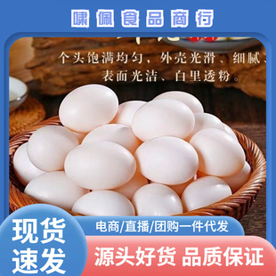 20ö�b���l�r���s�Zɢ�B���خa�������F؛�������ӵ�ʳ�ú��bϵ��