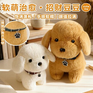 ��������ë�q������˽�ëȮ��ɫ̩�Ϲ���ͯ���ﹷ���նY����