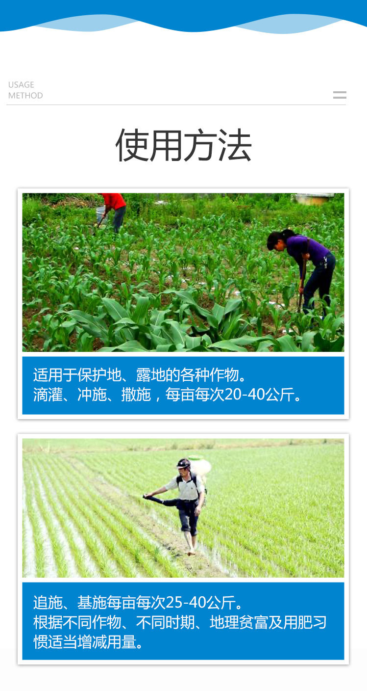 ����������ҳ_10