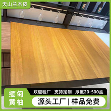 �¿����ľ���S�ּҾ��T��ذ��N�污Ƥ��� ����NƤ�b���