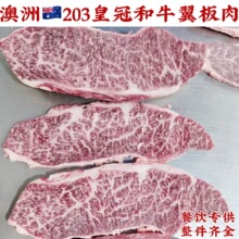 ����203�ʹں�ţ���X߅����������˹ţ�ż�Ѫ��ţ�����nʽ��