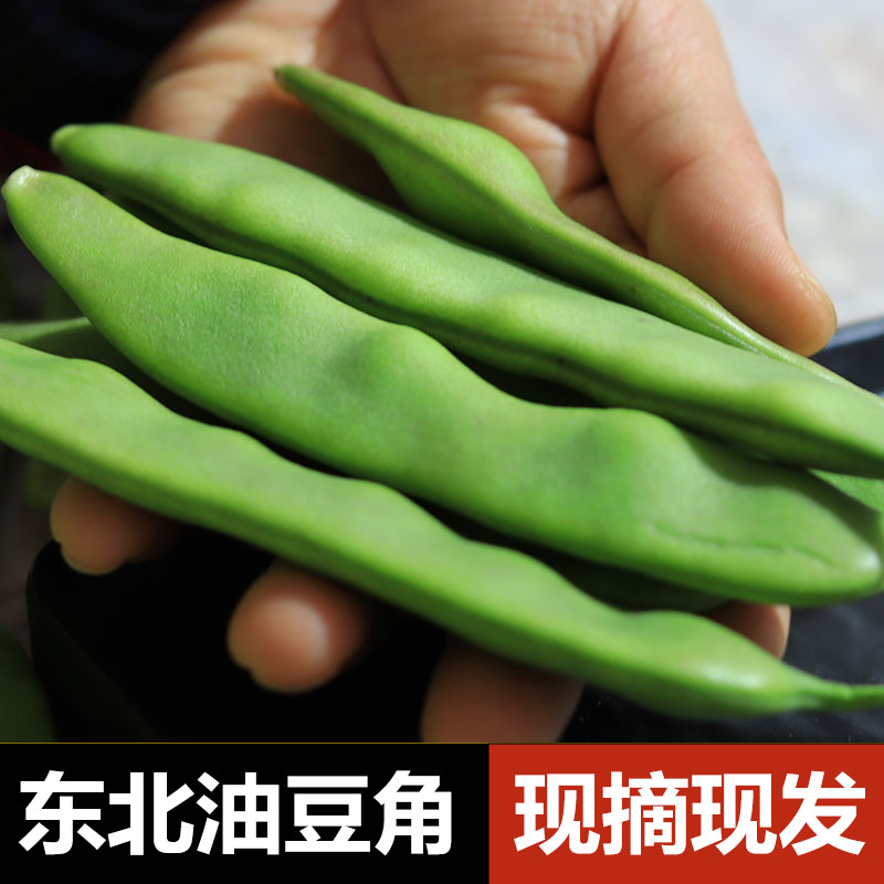 东北油豆角九月青吉林省大宽油豆角现摘新鲜当季嫩蔬菜一点红|undefined