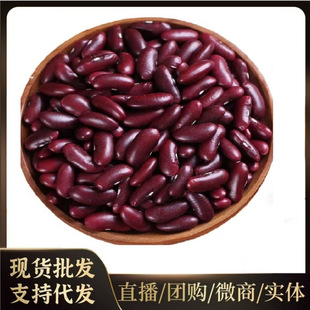 ������؛�tܿ���t�����tܿ���r���Ԯa�t�������s�Z���t����