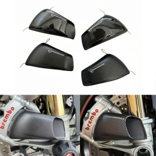 �m�� DUCATI Multistrada V4/S ̼�w�S ���Qɢ���� ���L�����L��