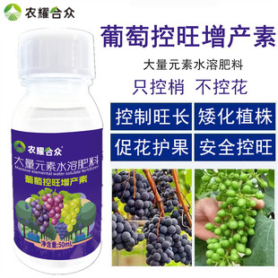 ���ѿ���ș ���ј���仨��� �ĺ�������󄩸���ͽ�L���a����ș