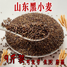 ��������С��ɽ�|�s�Z�ּZ��ɫ������Ȼ�����I�B�S���s�Z���{ԭ�Z