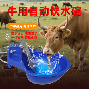 ţ�R�üӺ������Ԅ��ˮ��ţ���ô�̖�Ԅ��ˮ��ιˮ��ţ�ˮ��