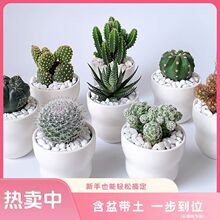 С�Gֲ�҃������򻨻����������ƶ�����B���控��M��С����ֲ��