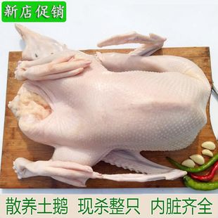 �F�����Z���r�r��ɢ�B���Z�����Z���Z���Z��ֻ�����Z��4-10����x