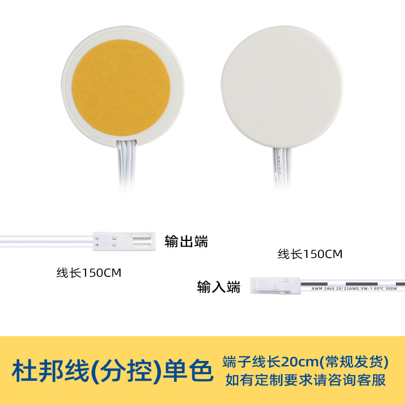 화이트 쉘 단색(듀퐁 라인)