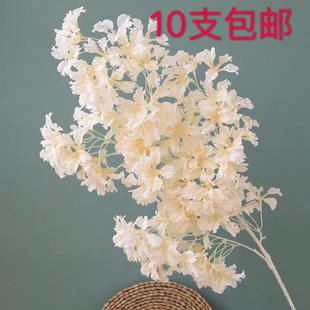 �ѻ����滨������hѩ��X������ޱ����픻�c�b�·�����ٻ�����