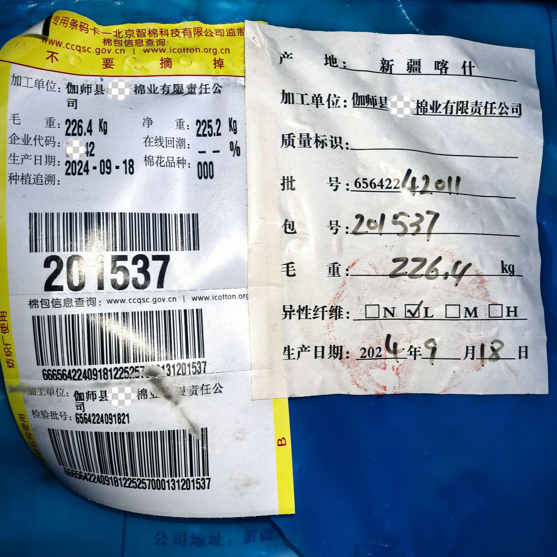 微信图片_20241011230042_副本