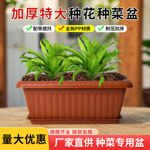 �N�����̨���üӺ�����ͥ�̨�N�����߲��L���ηNֲ��������