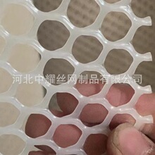 加厚塑料网阳台防护网封窗防坠网防猫网防盗窗防漏网胶网垫网鸡网