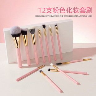 12-Piece Pink Makeup Brush Set, Professional Full Set of Facial Eye Shadow Brushes, Soft Fiber Hair, a Must-Have for Beginners