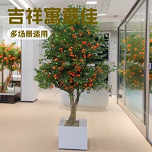 �������Ә�٘���ӼҾ���@�b��L������̳�ˮ������͔[��