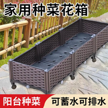 �N��������ͥ�̨�����L���δ������ͥԺ�N�����߲˷Nֲ��
