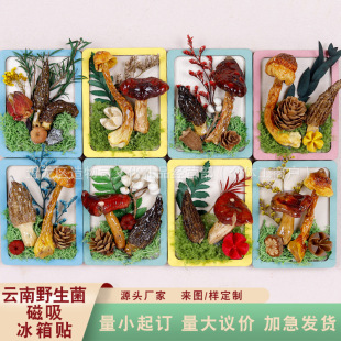 ����Ą������N�����nɽĢ�������ֹ�����Y����Ұ����ֲ������N