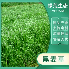 其他农业;工地施工材料;草坪