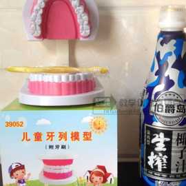儿童早教刷牙模型三倍 幼儿园口腔教学牙齿模型 教具大号牙模其他