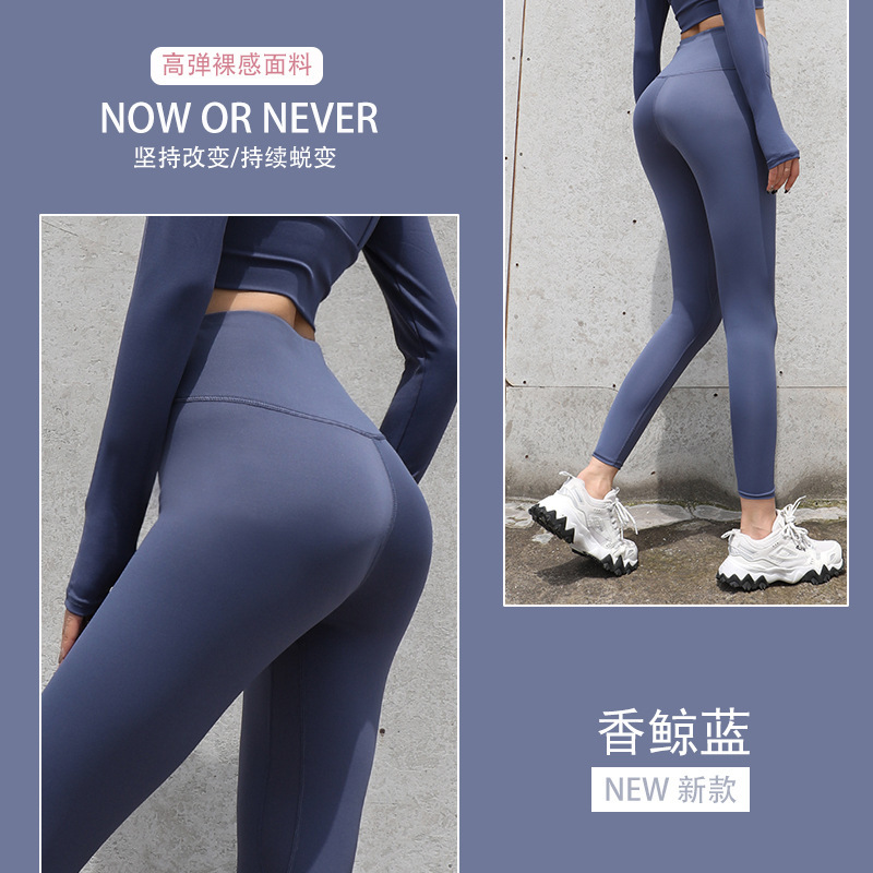 향기로운 고래 블루