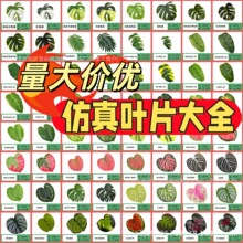 仿真龟背叶芭蕉叶彩叶芋桃叶美国叶散尾葵单片树叶盆栽装饰婚庆造