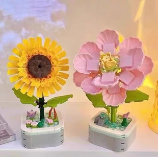 ���ݘ��eľ��������������տ��[��ƴ�b���Ů���߶Y�����l�羳