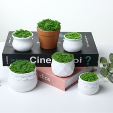 �S�����lë���h���������㻨��С���肀�Ի��A�μӺ�PP���ֹ��[��