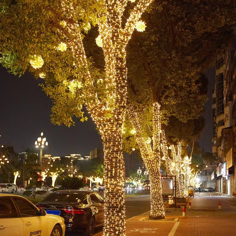 Plug-In estrellado luz de la secuencia de luz al aire libre impermeable vacaciones boda decoración de Navidad transfronteriza al por mayor luz de la secuencia