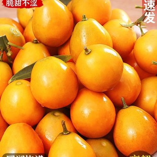 �V����Ƥ������rˮ�����Ӯ����Fժ����С��̽۽����ڰ��خa����