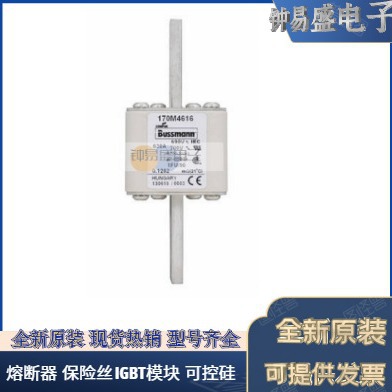 美国BUSSMANN熔断器170M4666  170M4667  170M4668  170M4669