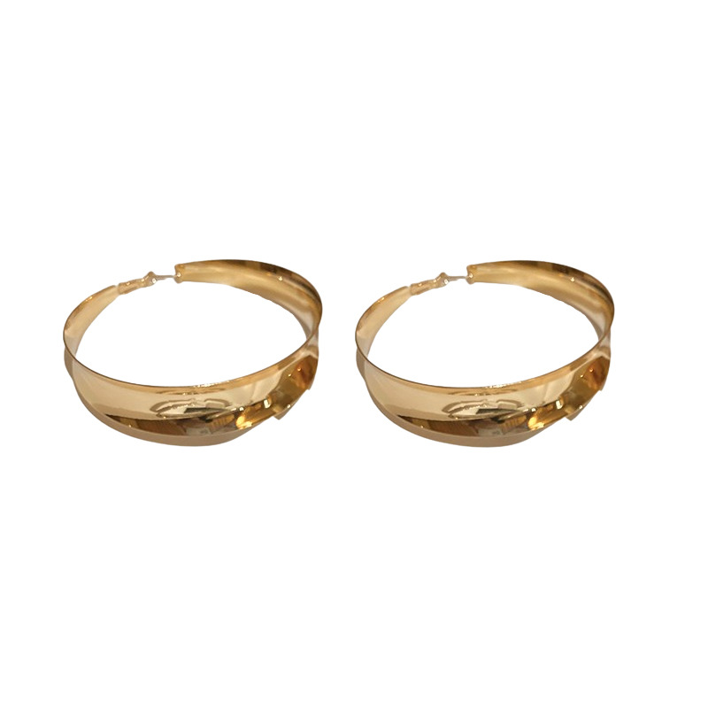 Agujas de plata transfronterizas Pendientes de anillo de sentido premium exagerados europeos y americanos Pendientes de atmósfera de moda Pendientes de lujo ligero Pendientes de temperamento femenino