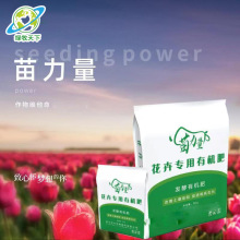 ЙCʻ܌ЙC΢ţSЙCţSʠIB