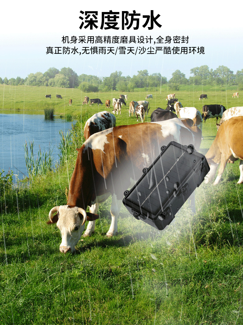 Solar-Powered 4g Beidou Gps Tracker for Cattle and Sheep, a Tracking Device for Mountainous Areas and Grasslands, with Track Playback