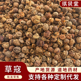 ��ș�� �ݿ� �ݶ�ޢ ޢ��  ����  ��؛���l ����ă�