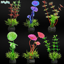 �S��ֱ�N����ˮ�����ϵ����ٺ���ˮ����Ʒ �~���b� �侰ֲ��Դ�^