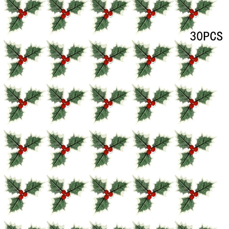 30 paquetes de frutas rojas + hojas